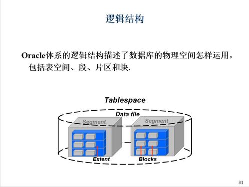 Oracle數(shù)據(jù)庫的邏輯結(jié)構(gòu)與存儲(chǔ)層次 數(shù)據(jù)處理與存儲(chǔ)支持的基石